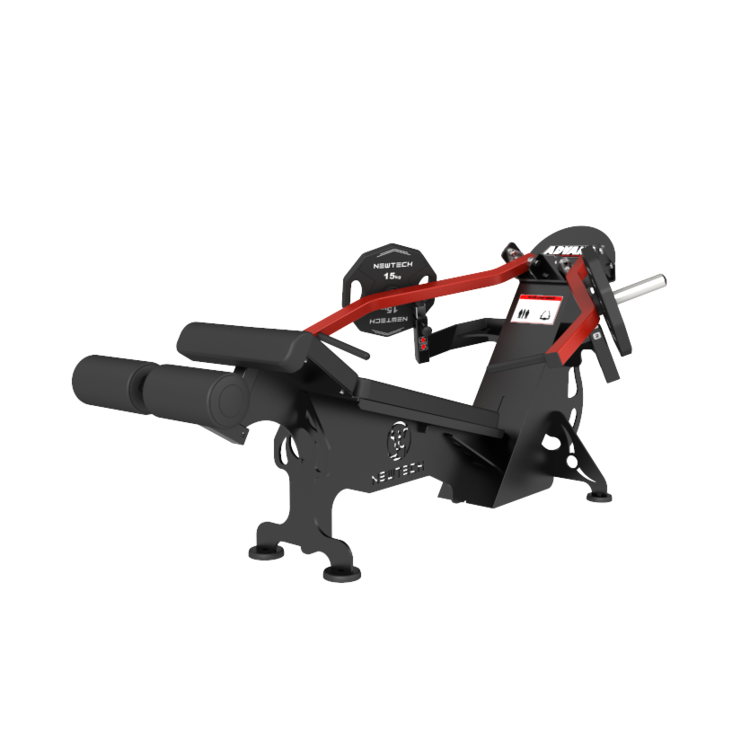 Newtech Wellness Plate Decline Press