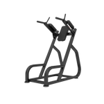 Newtech Wellness Dip & Leg Raise