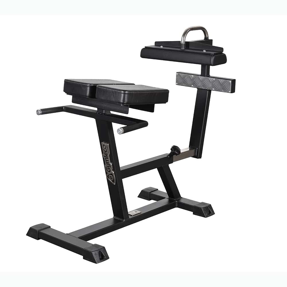 Back Raise (90 degrees)