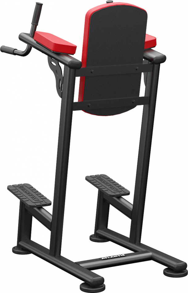 Atlantis Standing Leg Raise - Model A169 image 2