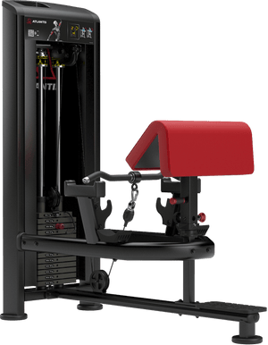 Atlantis Standing Bicep Curl - Model B257