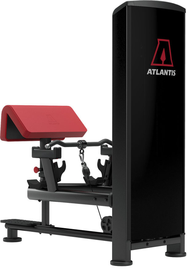 Atlantis Standing Bicep Curl - Model B257 image 3