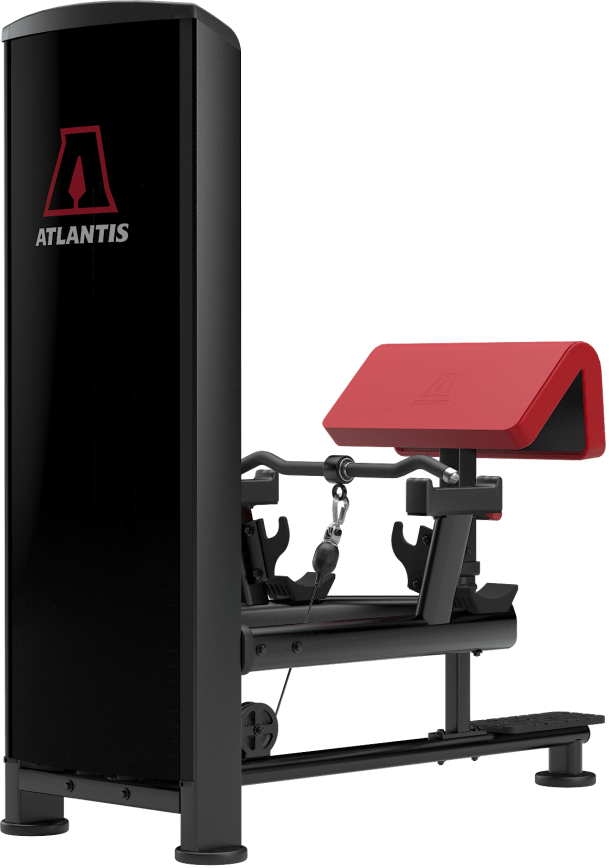 Atlantis Standing Bicep Curl - Model B257 image 4