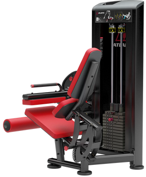Atlantis Seated Leg Curl