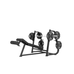 Newtech Wellness Olympic Decline Bench