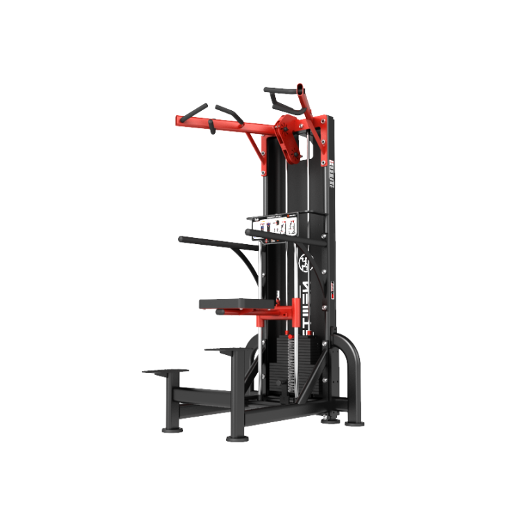Newtech Wellness OnHim Chin-Up, Dip Assist (Thomson)