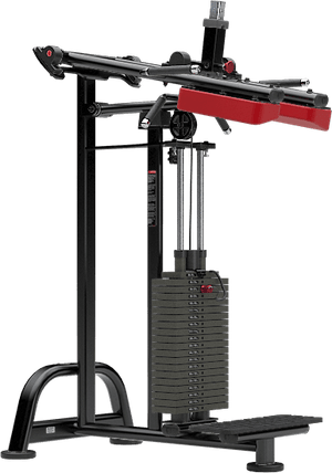 Atlantis Standing Calf - Model M118