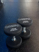 Newtech Wellness Mr. Olympia 14KG Dumbbell