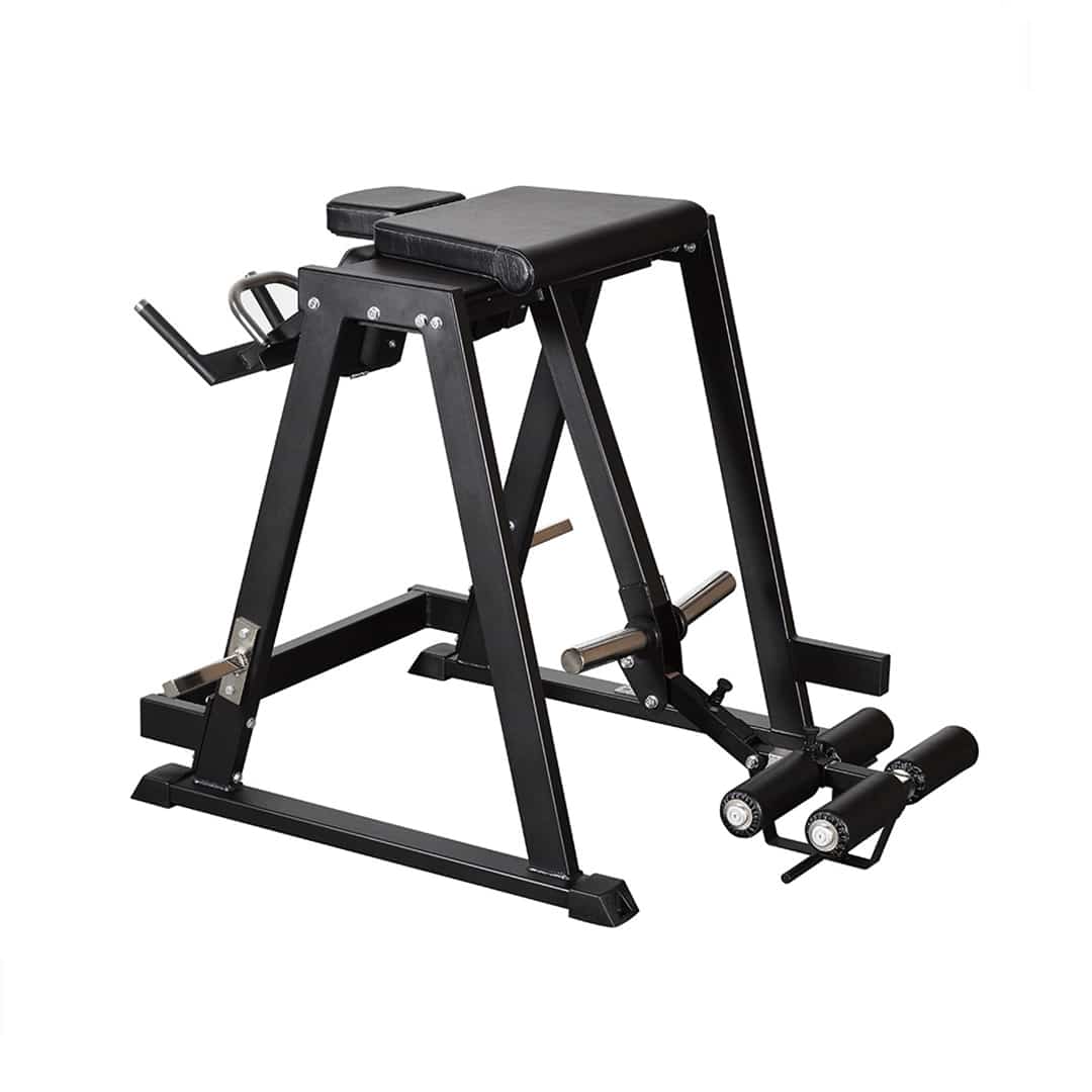 Gymleco Reverse Hyper Pendulum