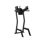 Leglift with Dip Bar