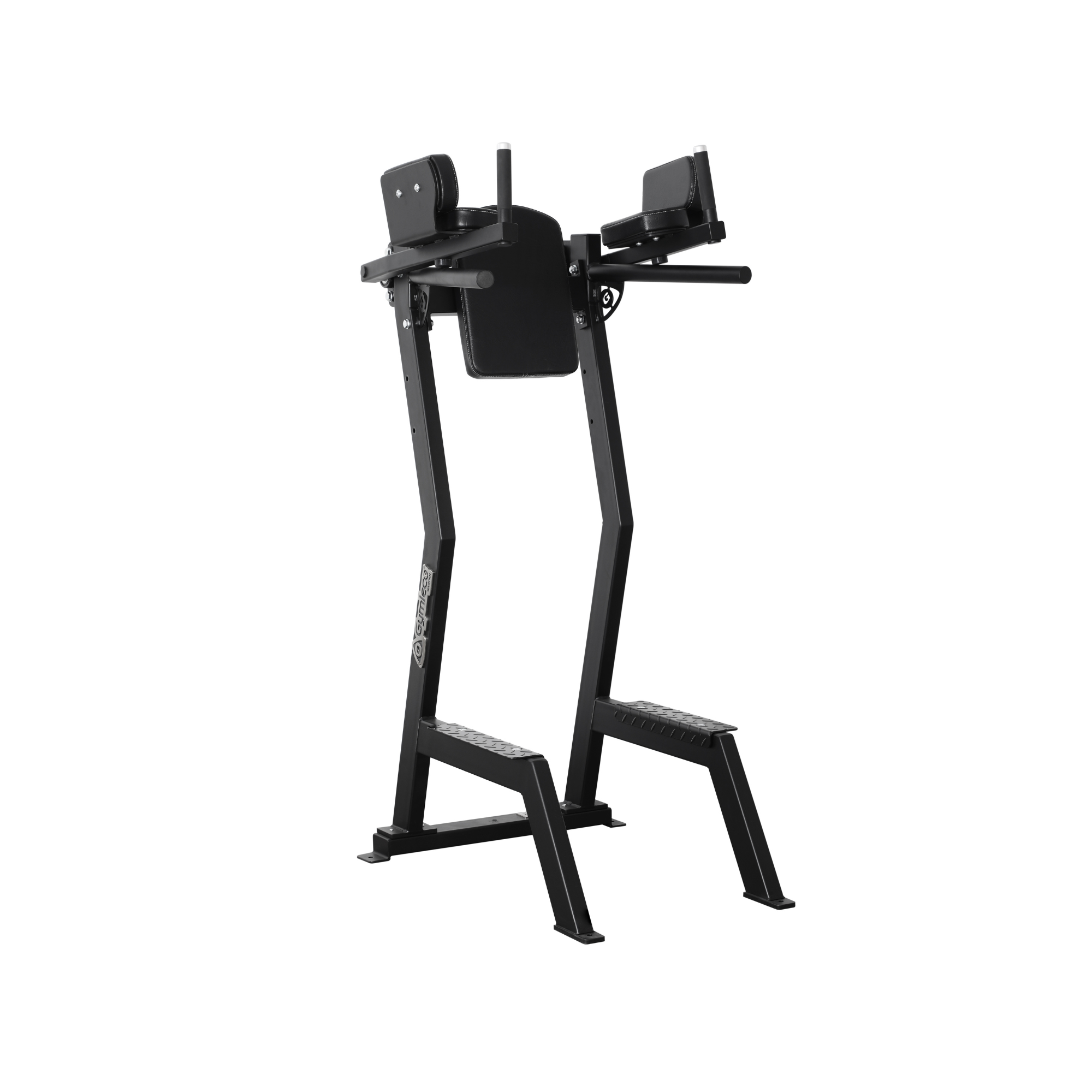 Leglift with Dip Bar