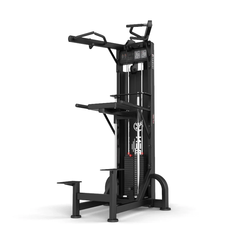 Newtech Wellness Chin-Up, Dip Assist