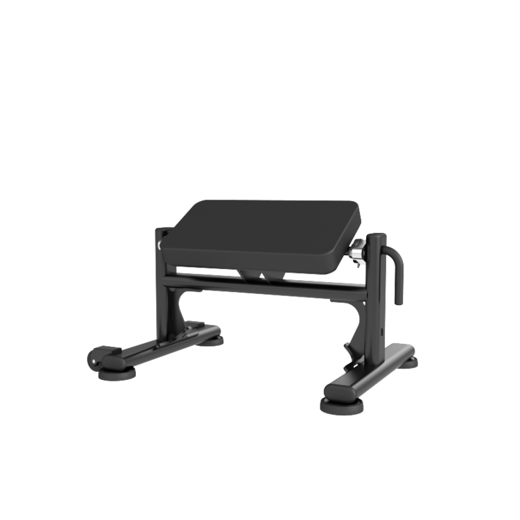 Newtech Wellness Hip Thrust Bench
