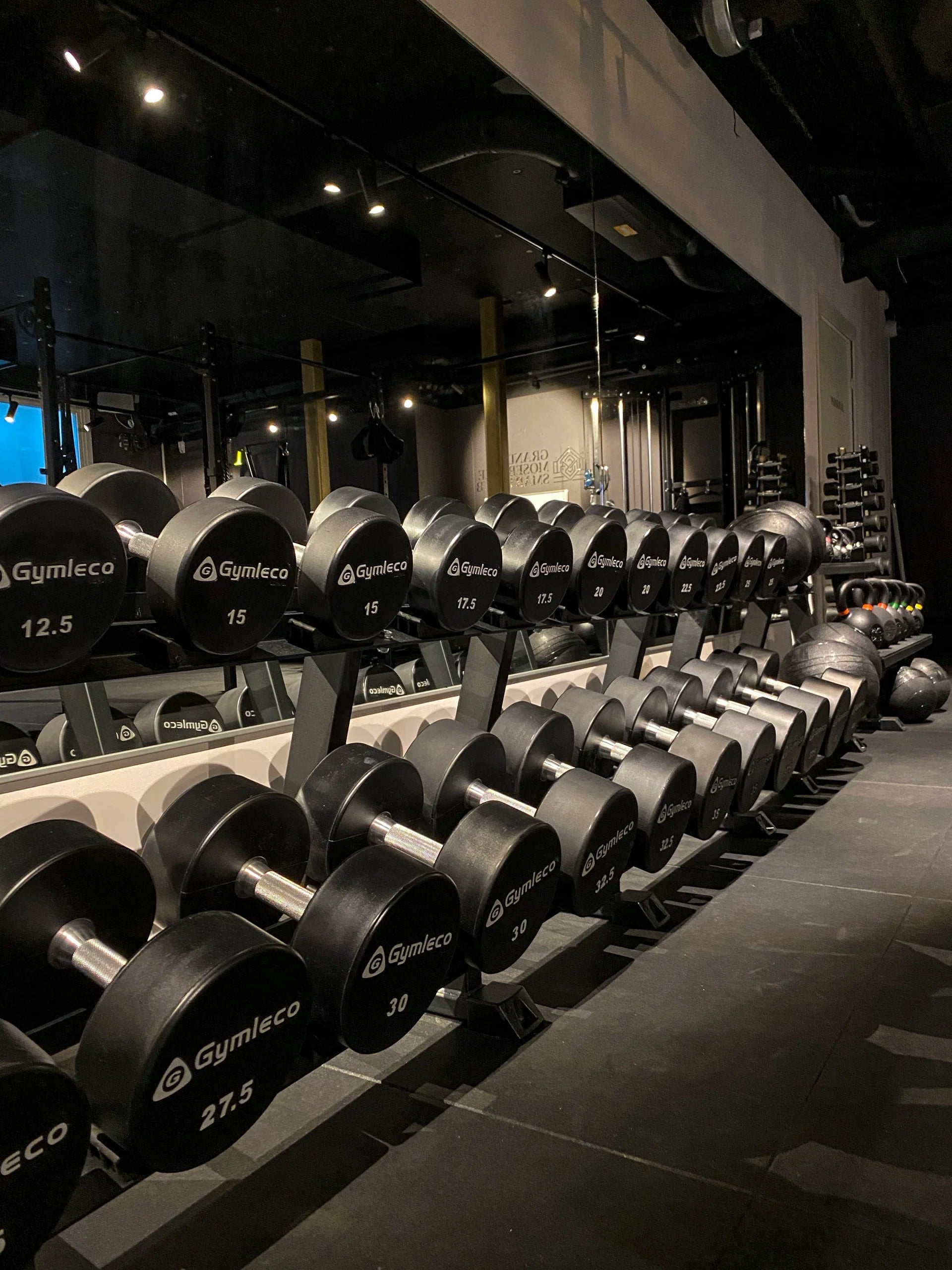 Gymleco Dumbbell Rack, 10 Pairs, 2.3 m