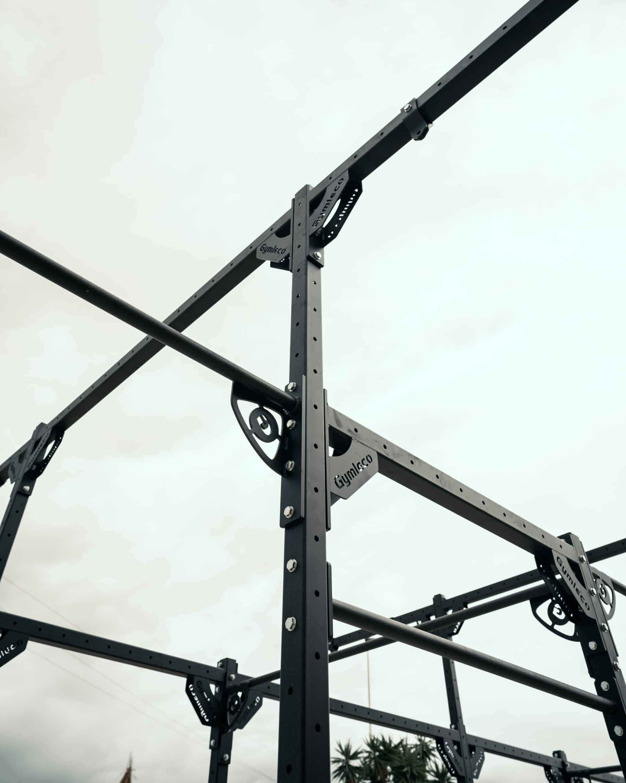 Gymleco Rig with 6 lifting places