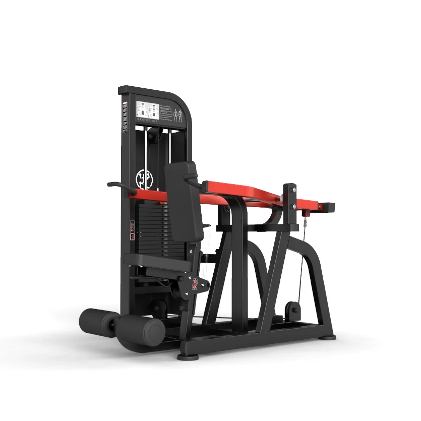 Newtech Wellness Seated Dip