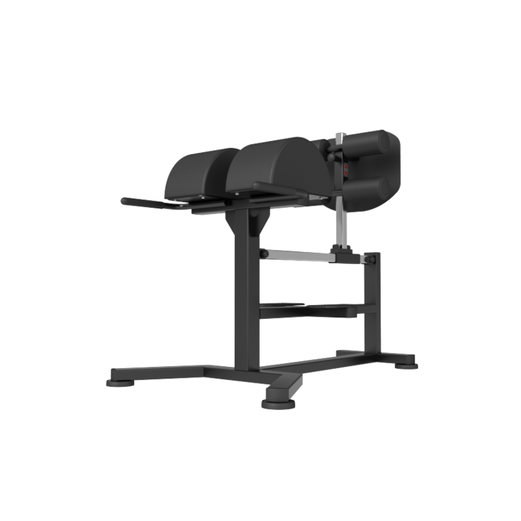 Newtech Wellness 90° Roman Chair (GHD)