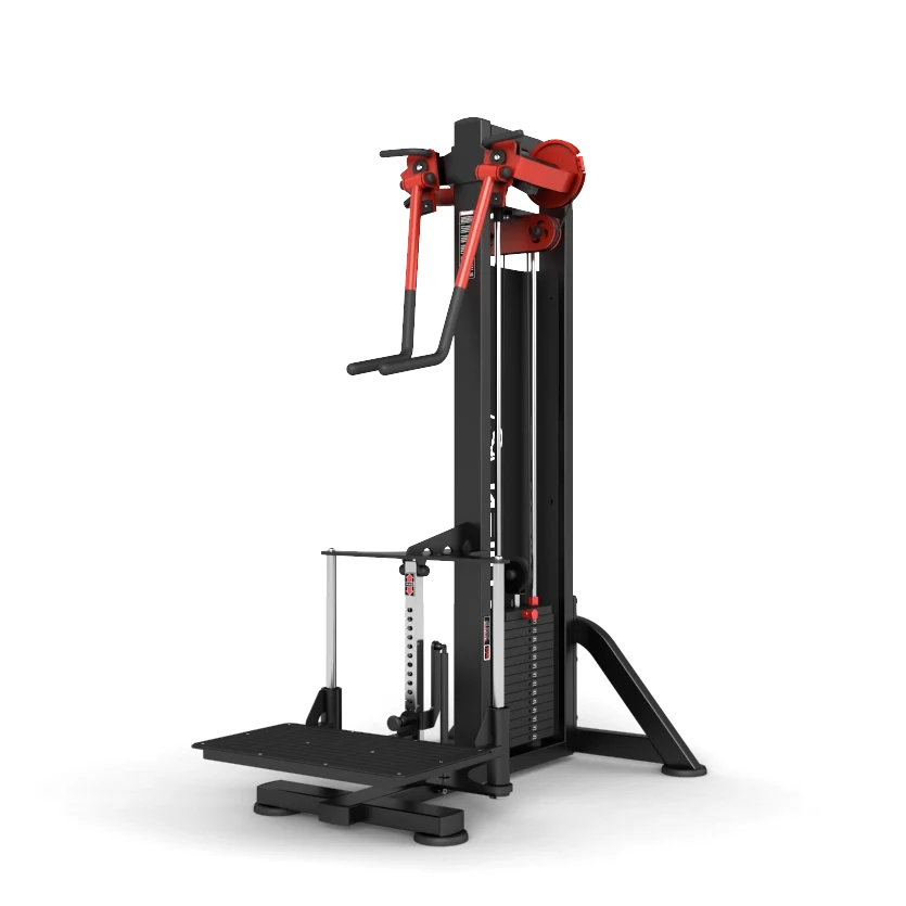 Newtech Wellness Standing Lateral Raise