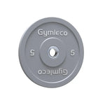 Colored Weight Plates in Rubber