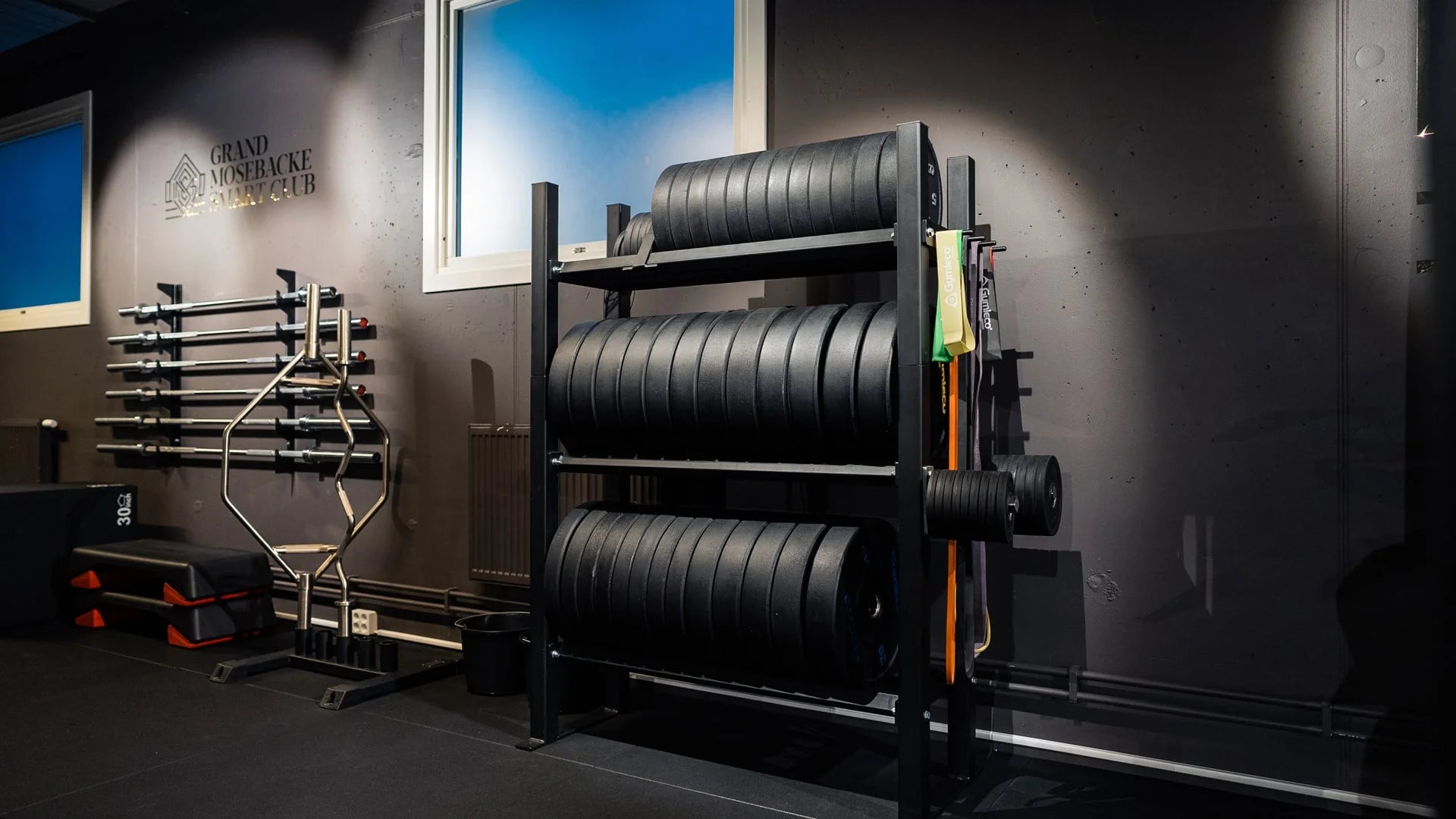 Gymleco Bumper Plate, Slam Ball Rack