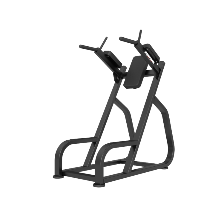 Newtech Wellness Dip & Leg Raise