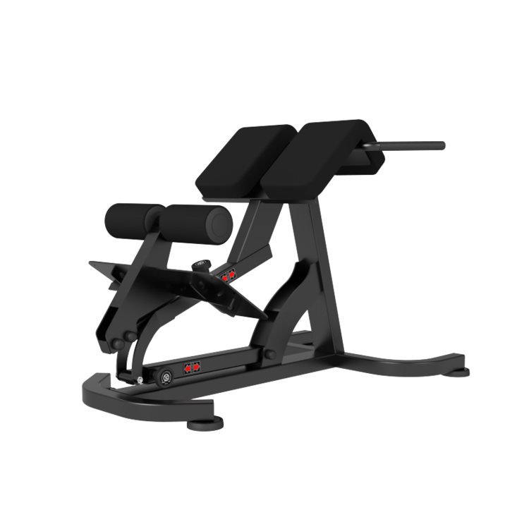 Newtech Wellness Roman Chair (45~90° Adjust Type)