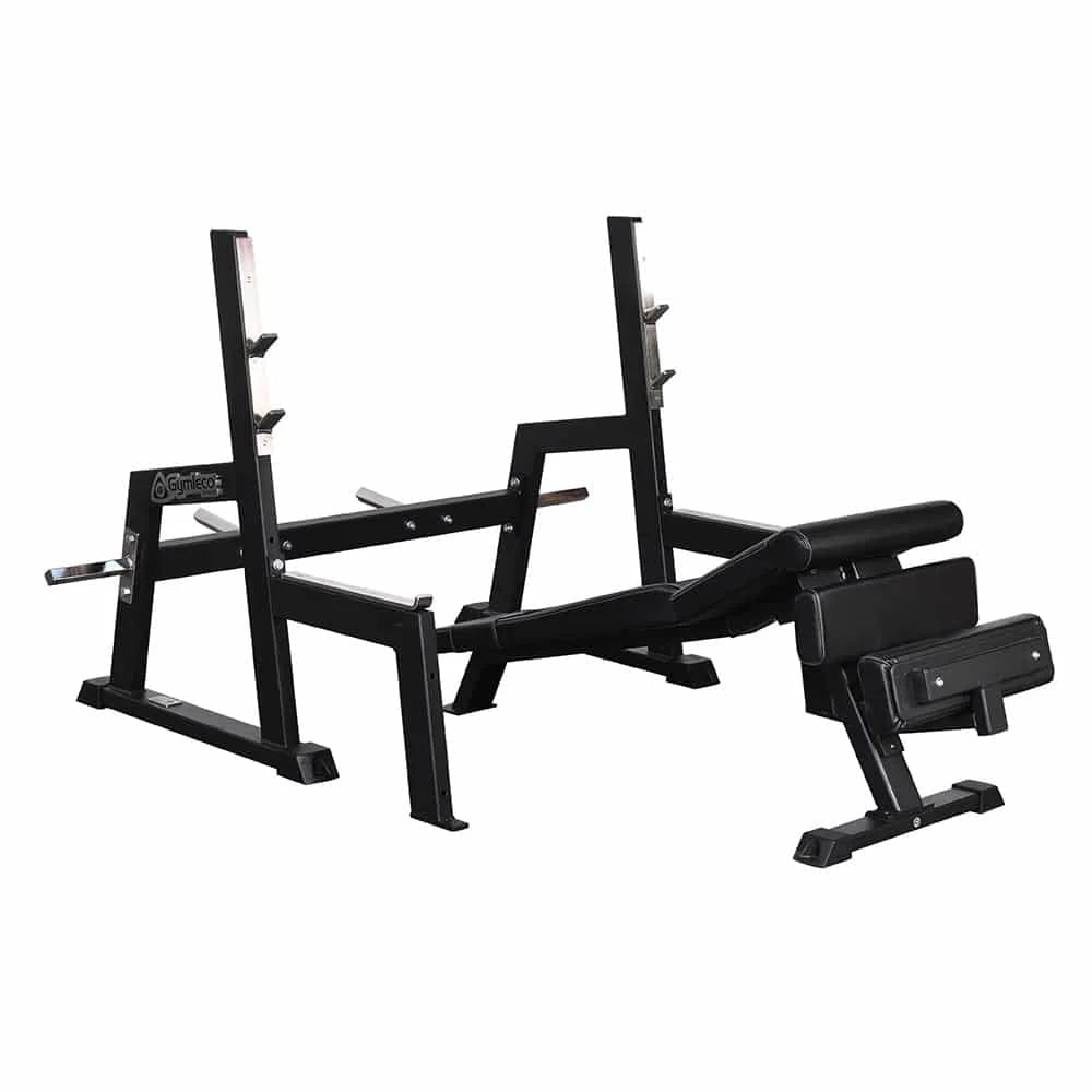 Gymleco Lifting Rack for Decline Bench