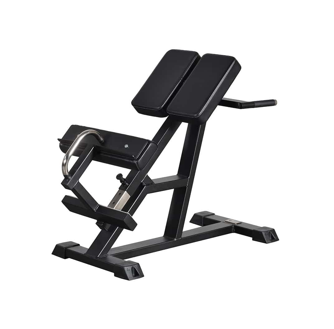 Back Raise 45 degrees