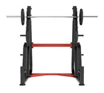 Newtech Wellness Squat Rack