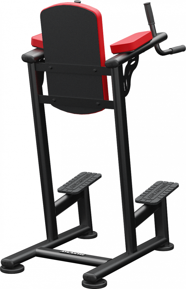 Atlantis Standing Leg Raise - Model A169 image 3