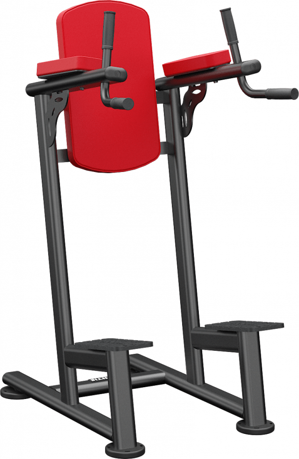 Atlantis Standing Leg Raise - Model A169 image 4
