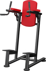 Atlantis Standing Leg Raise - Model A169