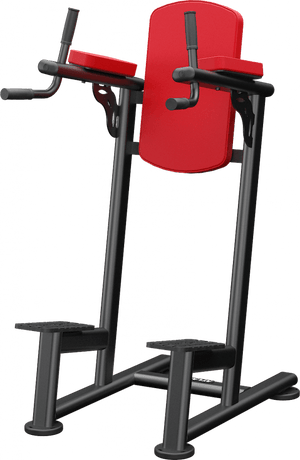 Atlantis Standing Leg Raise - Model A169