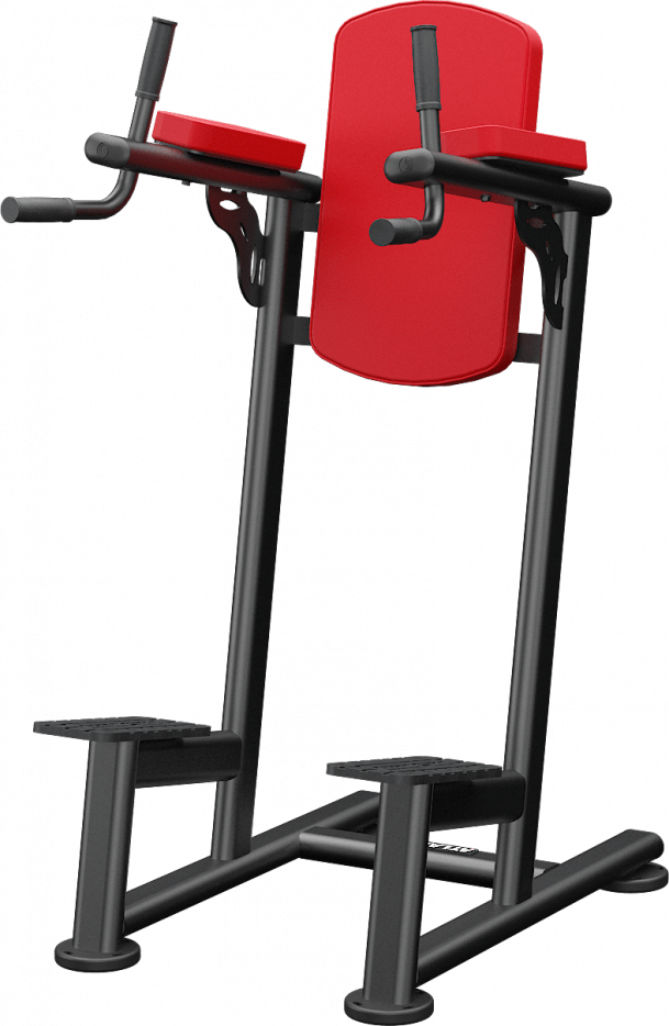 Atlantis Standing Leg Raise - Model A169