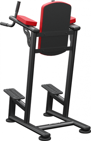 Atlantis Standing Leg Raise - Model A169 image 2