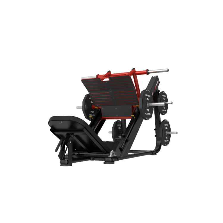 Newtech Wellness Torture Power Leg Press (Thomson)