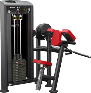 Atlantis Biceps Curl - Model B157