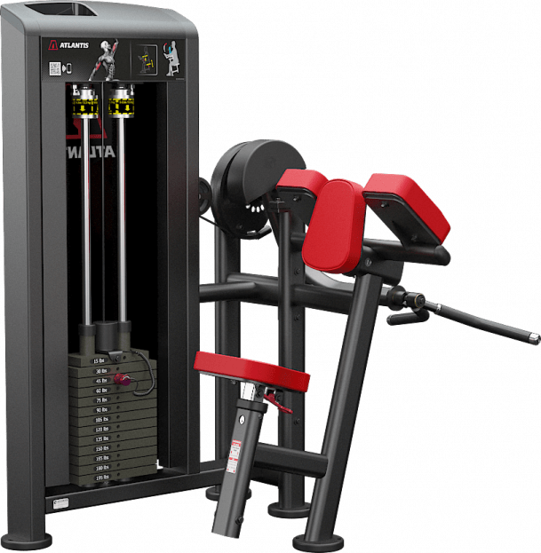 Atlantis Biceps Curl - Model B157