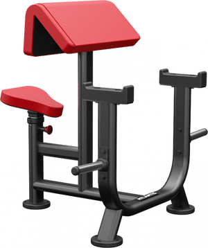 Atlantis Seated Preacher Curl - Model B256 image 4