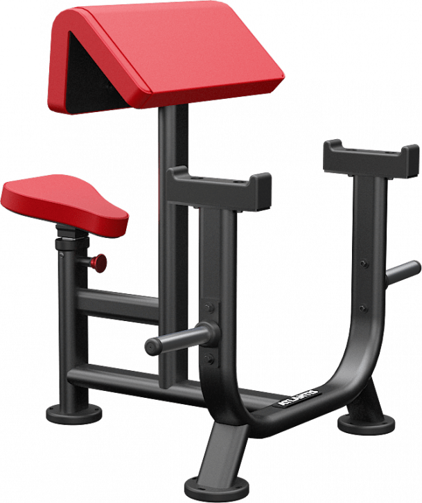 Atlantis Seated Preacher Curl - Model B256 image 4