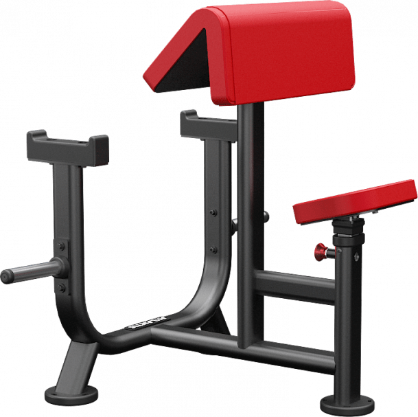Atlantis Seated Preacher Curl - Model B256 image 2