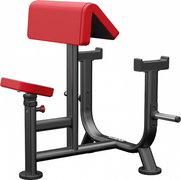 Atlantis Seated Preacher Curl - Model B256 image 3