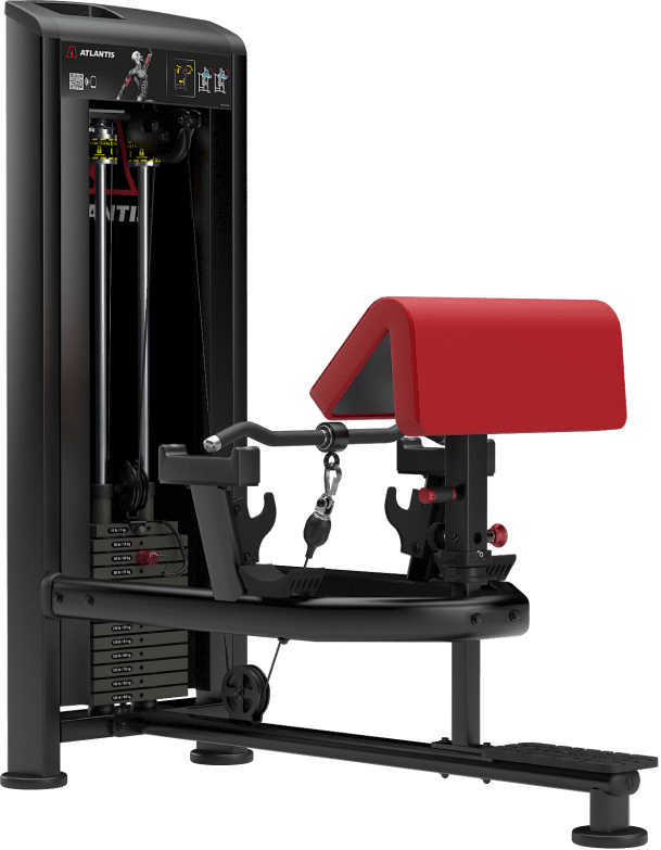 Atlantis Standing Bicep Curl - Model B257