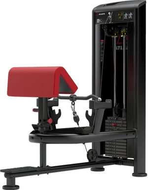 Atlantis Standing Bicep Curl - Model B257 image 2