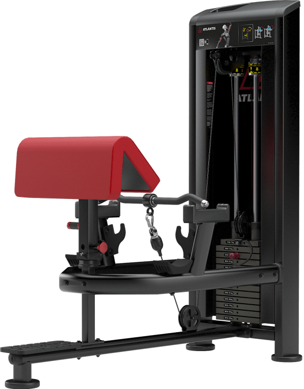 Atlantis Standing Bicep Curl - Model B257 image 2
