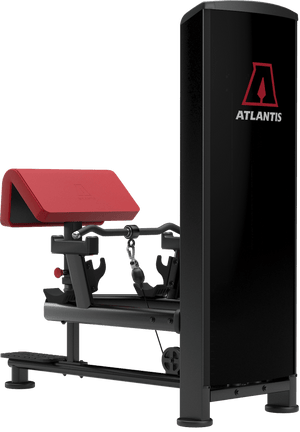 Atlantis Standing Bicep Curl - Model B257 image 3