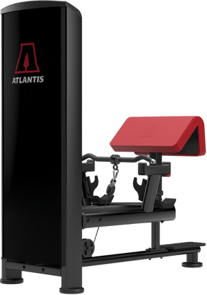 Atlantis Standing Bicep Curl - Model B257 image 4