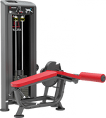 Atlantis Lying Leg Curl - Model C106