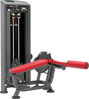 Atlantis Lying Leg Curl - Model C106