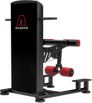 Atlantis Standing Leg Curl - Model C107 image 4